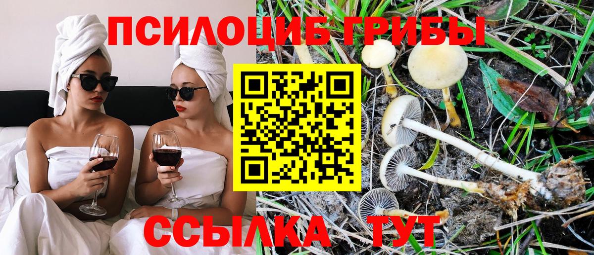 Галлюциногенные грибы MAGIC MUSHROOMS  Вход с VPN  Саратов 
